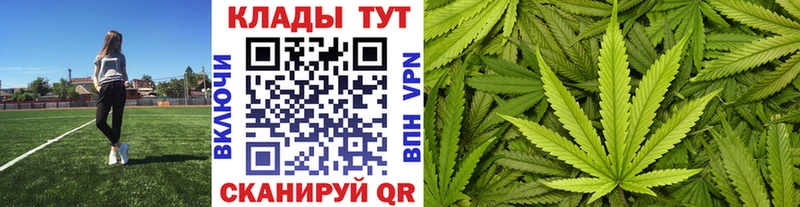 Где купить Ялуторовск КОКАИН  Меф  ГАШИШ  Псилоцибиновые грибы  Лсд 25  A-PVP  Марихуана 
