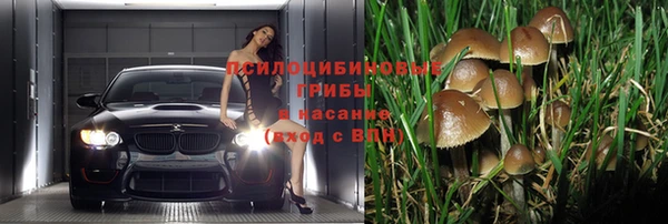 каннабис Абдулино