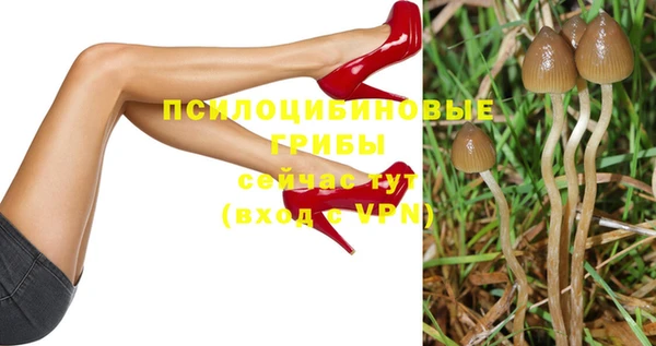 бошки Абинск