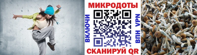 Галлюциногенные грибы Cubensis  Ялуторовск 