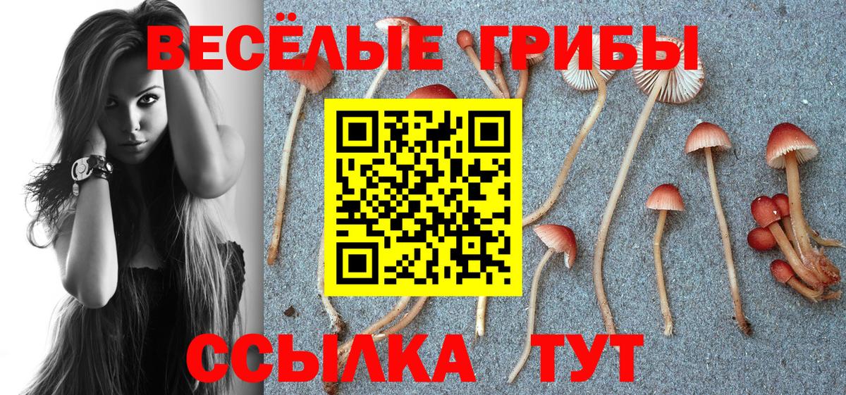Псилоцибиновые грибы прущие грибы Ялуторовск