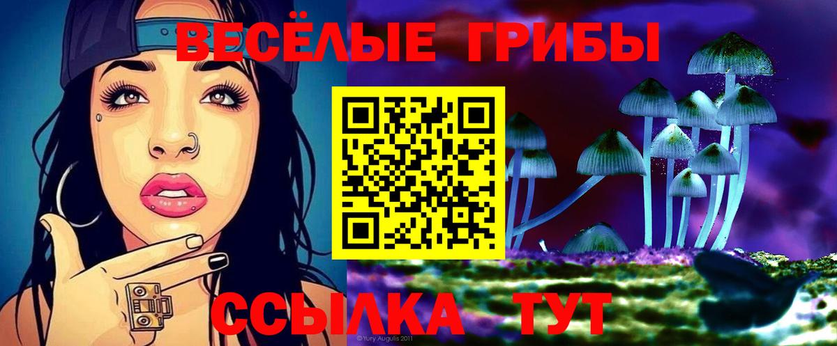 хочу   Вход с VPN  Галлюциногенные грибы Magic Shrooms  Ялуторовск  Галлюциногенные грибы Cubensis 